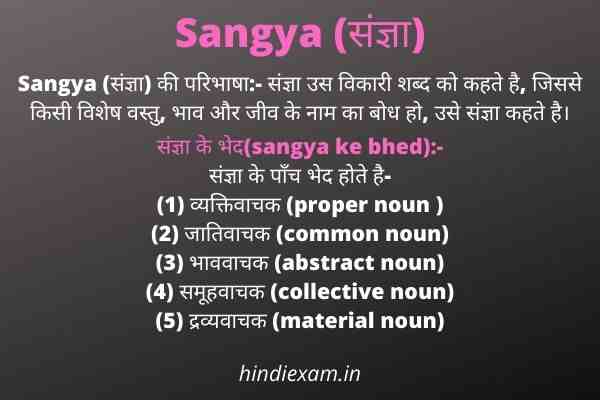 Sangya-संज्ञा-की-परिभाषा-के-भेद-की-पूरी-जानकारी-in-hindi