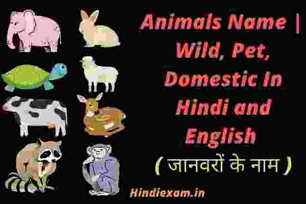 Animals Name | Wild, Pet, Domestic in Hindi and English ( जानवरों के नाम )
