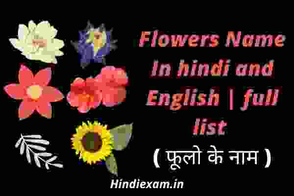 Flowers Name In hindi and English full list ( फूलो के नाम )