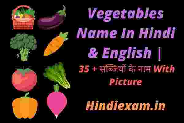 Vegetables Name In Hindi & English 35 + सब्जियों के नाम With Picture