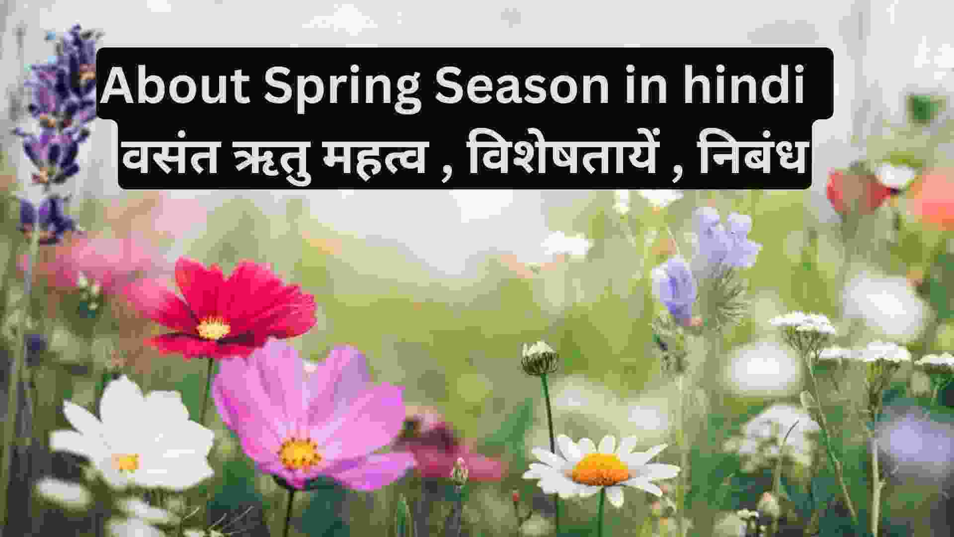 About Spring Season in hindi वसंत ऋतु महत्व , विशेषतायें , निबंध