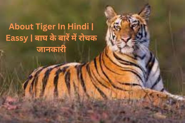 About Tiger In Hindi Eassy बाघ के बारें में रोचक जानकारी