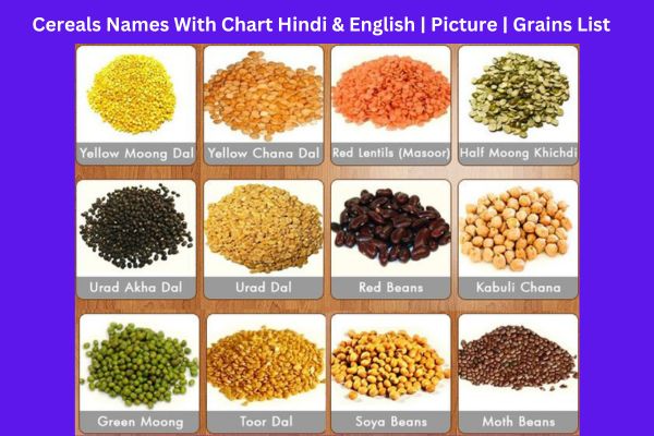 Cereals Names With Chart Hindi & English Picture Grains List