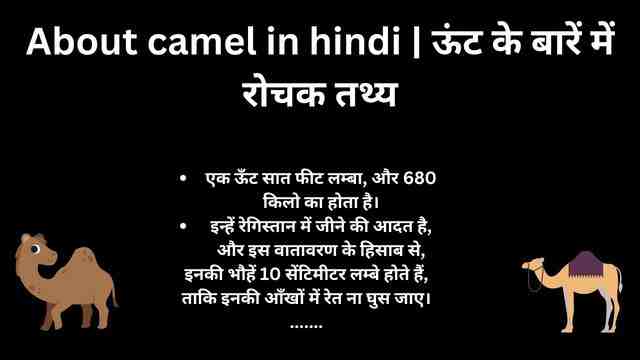 About camel in hindi ऊंट के बारें में रोचक तथ्य
